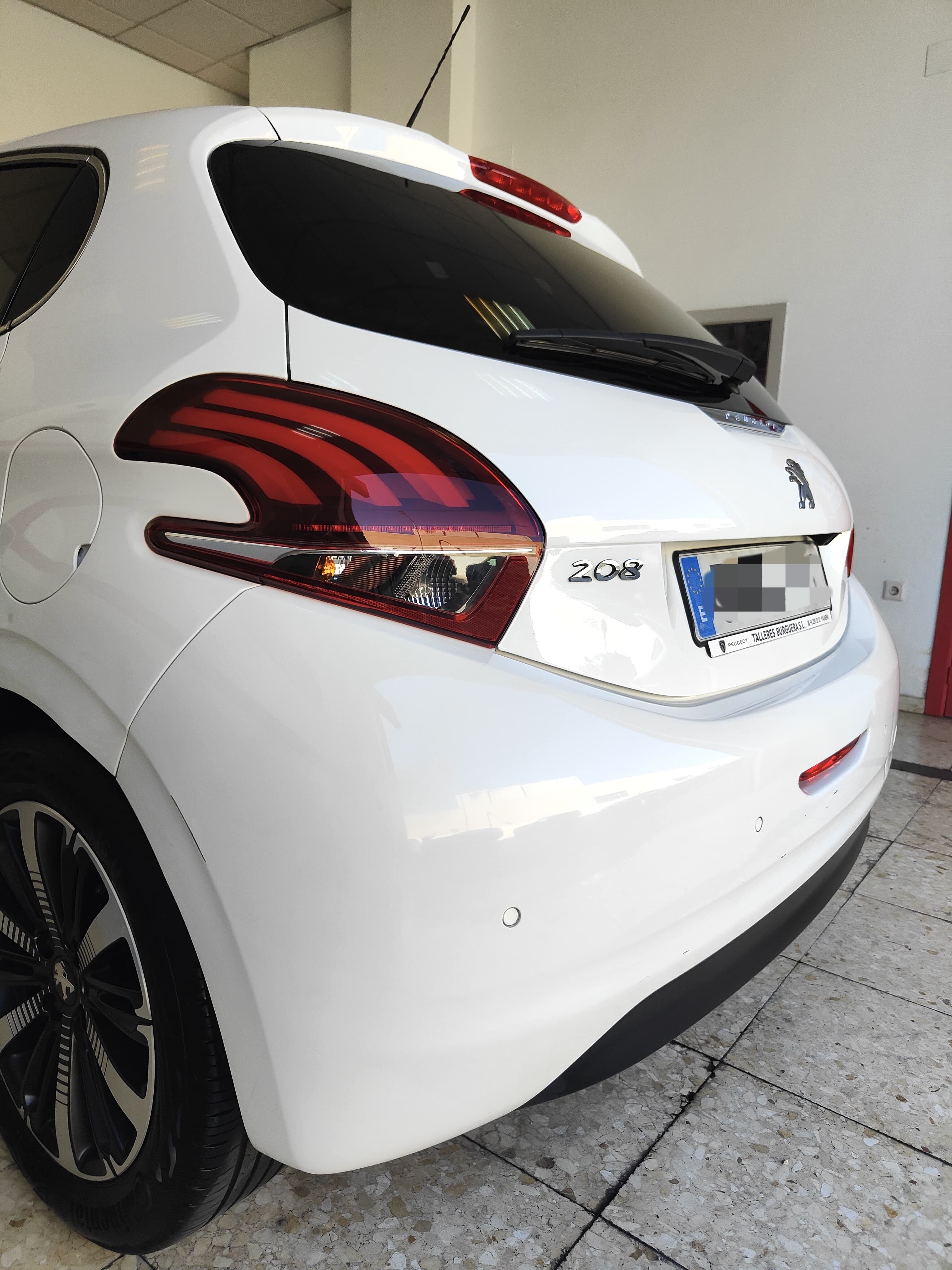 Coche sin pelos de mascota