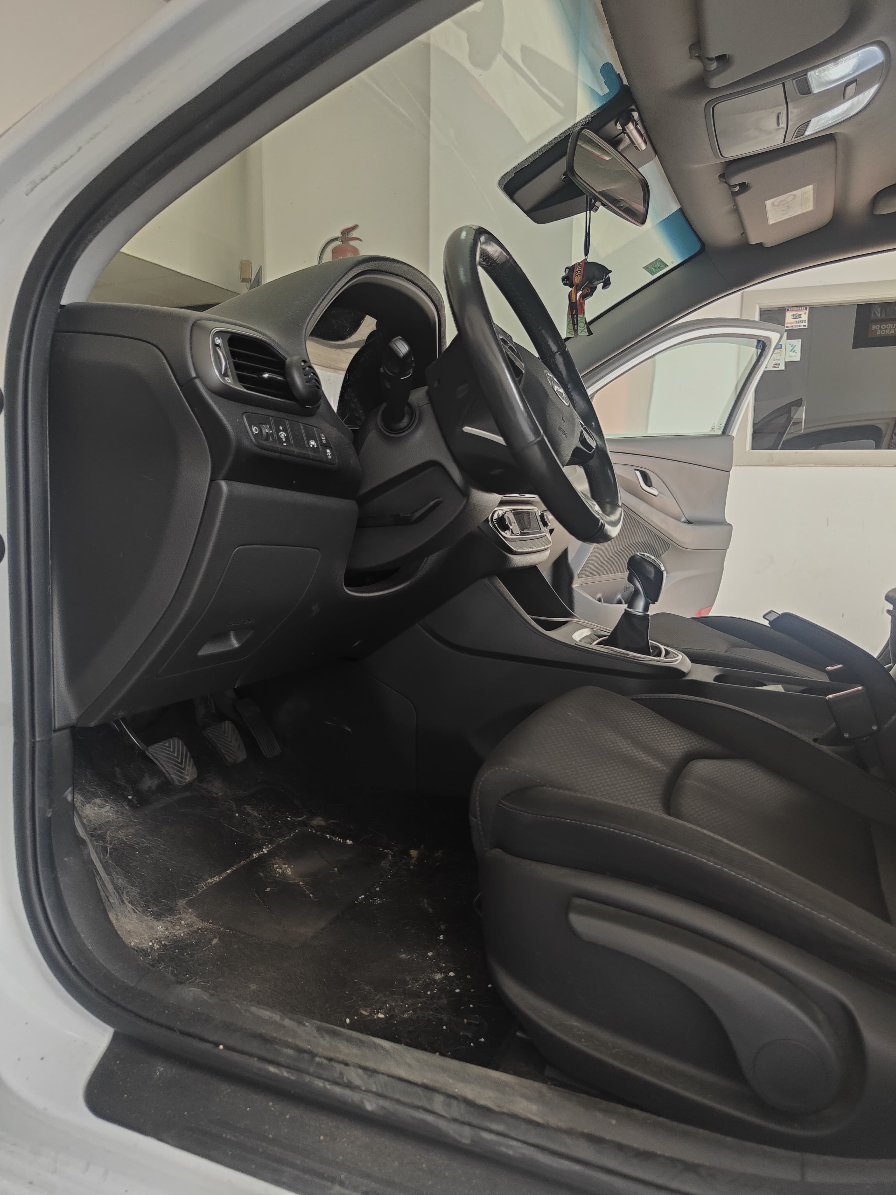 Coche con pelos de mascota