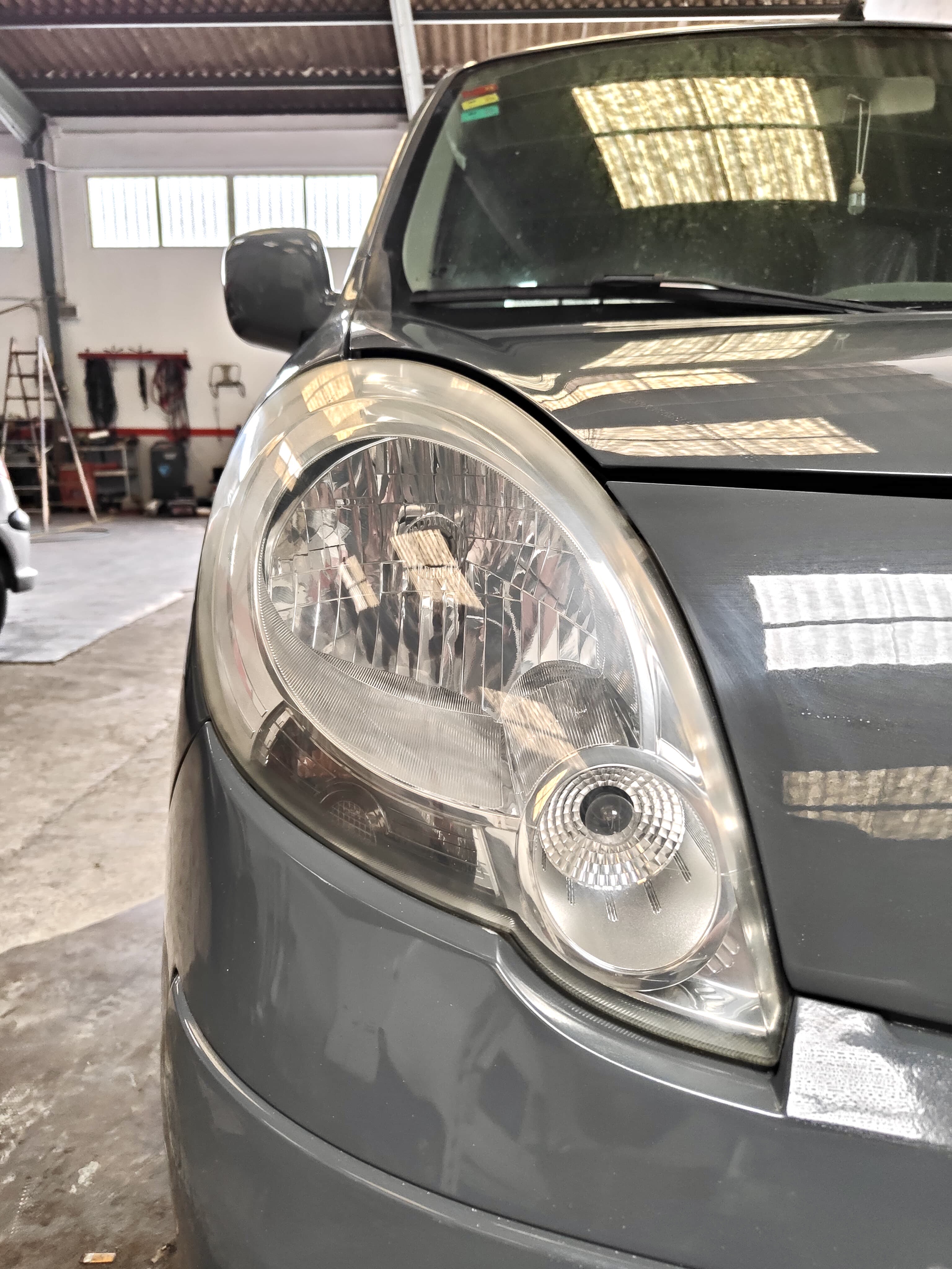 Coche sin pelos de mascota